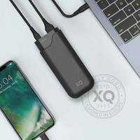 XQISIT NP Premium Powerbank 5000 mAh - Black
