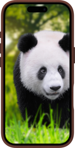 DBramante Lynge 2-in-1 leather wallet MagSafe - Dark Tan - Apple iPhone 17