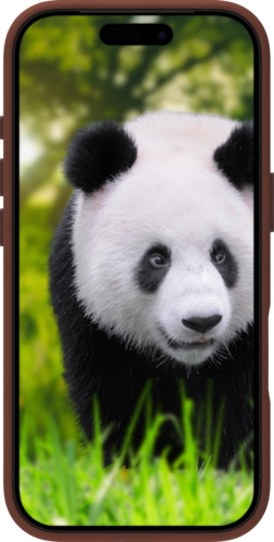 DBramante Lynge 2-in-1 leather wallet MagSafe - Dark Tan - Apple iPhone 17 Pro