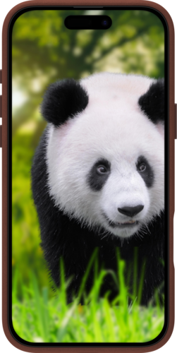 DBramante Lynge 2-in-1 leather wallet MagSafe - Dark Tan - iPhone 17 Pro Max