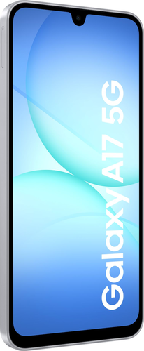 Samsung Galaxy A17 5G 128 GB - Gris