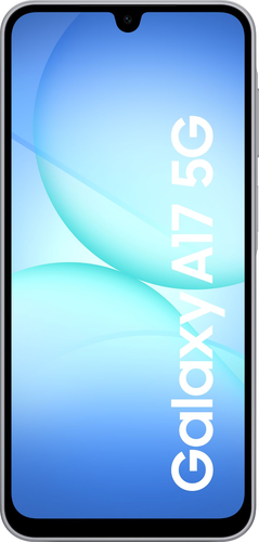 Samsung Galaxy A17 5G 128 GB - Gris